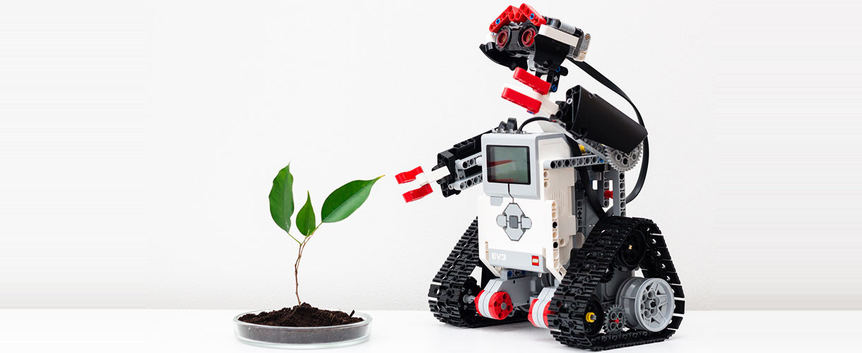 robot and plant