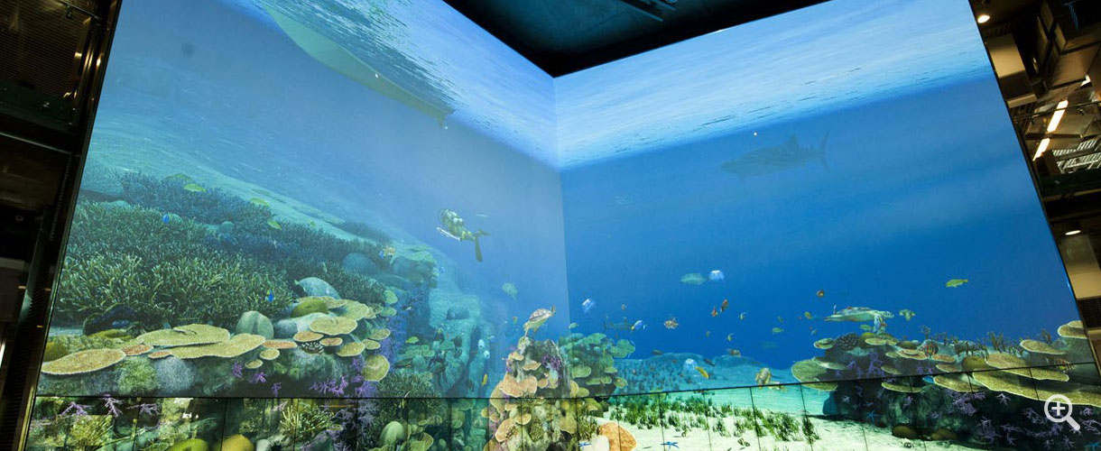 Virtual Reef